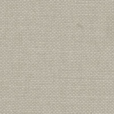 Linara Strucco 491 Pg.3