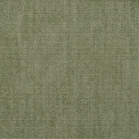 Tyg B Evita green tea