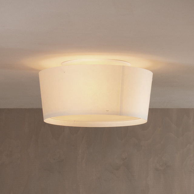Z 813-3533 Plafond