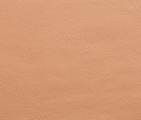 CH07 NCS S0502-Y Läder Loke 7050