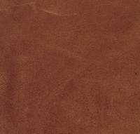 Control 70 Läder Ranch 0003