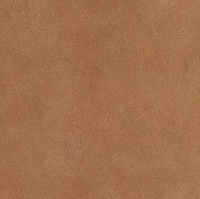 Control 70 Läder Ranch 0018