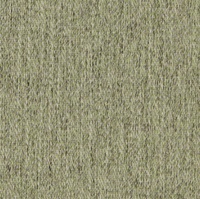 Jättepaddan Sam 030