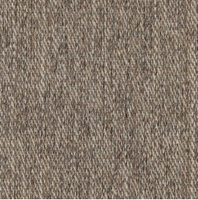 Jättepaddan Sam 060