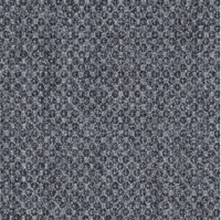 Jättepaddan Fiord 171