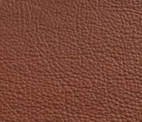 Samsas Läder Rustical 33286