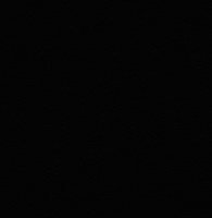 Tokyo Läder Paloma black