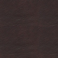 Tokyo Läder Paloma chocolate