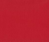 Turtle Läder 30 Fantasy red