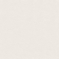 Turtle Läder 30 Fantasy snow white