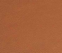 Turtle Läder 30 Fantasy nature