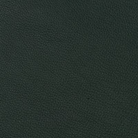 Turtle Läder 56 Bolzano teal