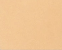 Ambassad Läder natur 9101