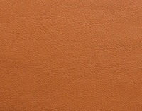 Jetson 66 Elmosoft 54035