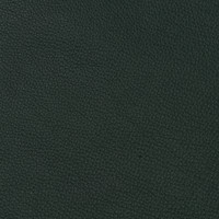 Läder 56 Bolzano teal