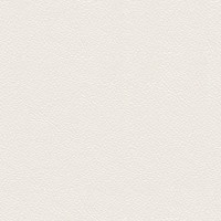 Läder 30 Fantasy snow white