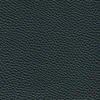 Läder Classic 009 Svart