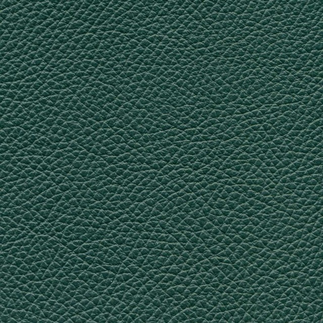 Läder Classic 007 Grön