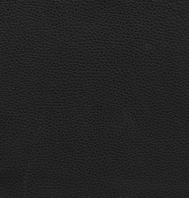 Läder Rustik/skai Svart 11