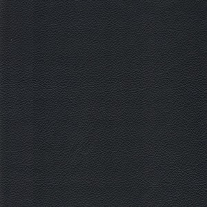 Läder/skai basel 01 svart