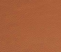 Läder 30 Fantasy nature