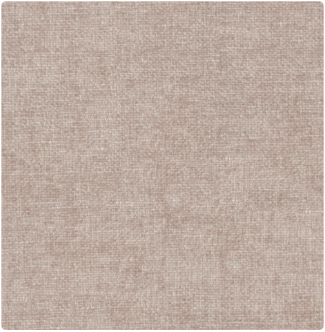 pg.1 Image Blossom