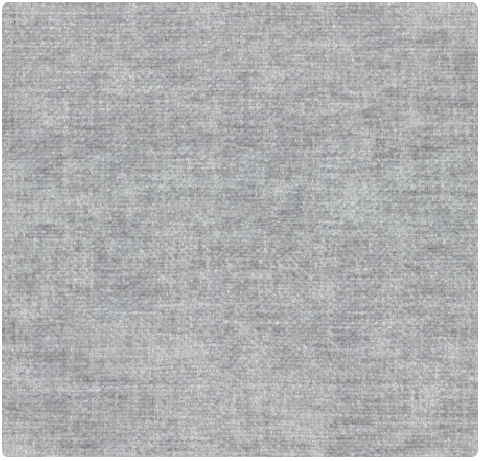 pg.1 Image Dolphin