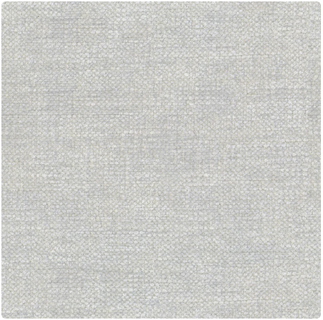 pg.1 Image Light grey