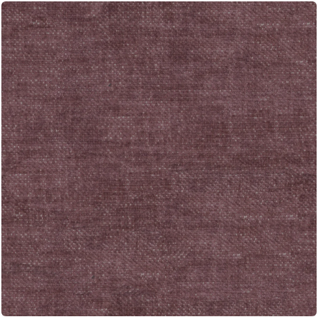 pg.1 Image Magnolia