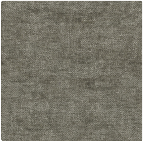 pg.1 Image Shiitake