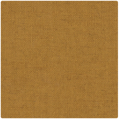 pg.2 Piquet Ocre