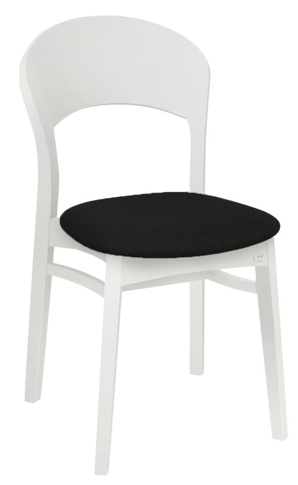 Vitlackad massiv Björk