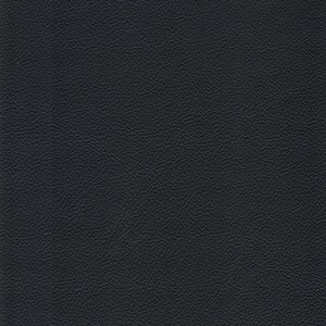 Läder/ Skai Basel 01 svart