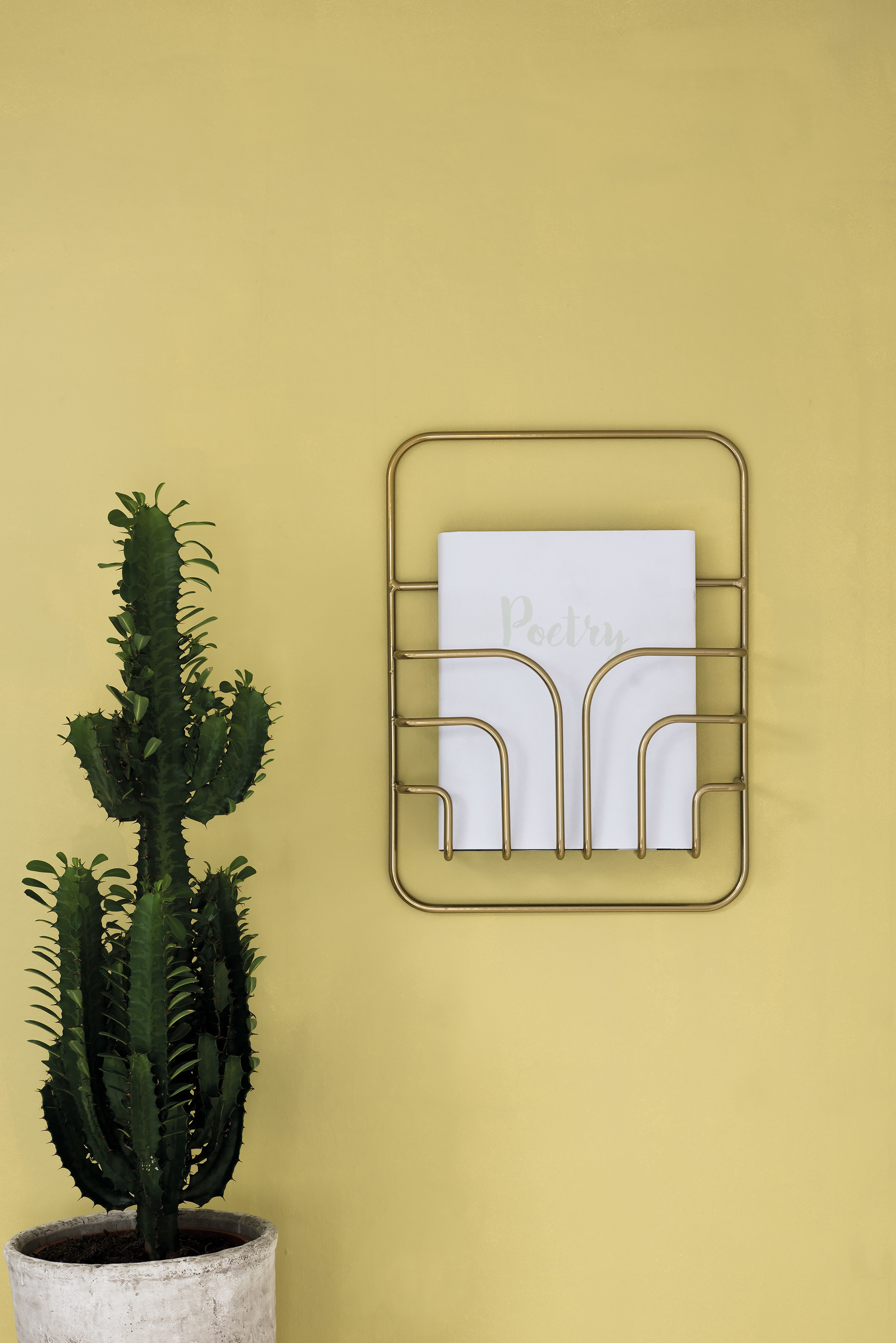 Tidningsstället Now från Maze i den lilla storleken i mässing. Hänger på en gul vägg med en kaktus till vänster.